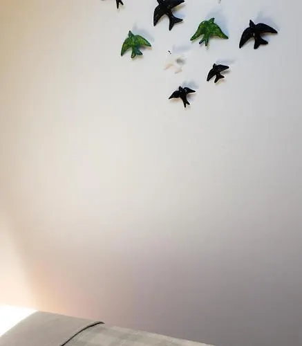 Trajadinha - Casa Da Travessa Caminha